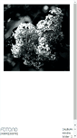 Mobile Screenshot of krokofant.foto.no